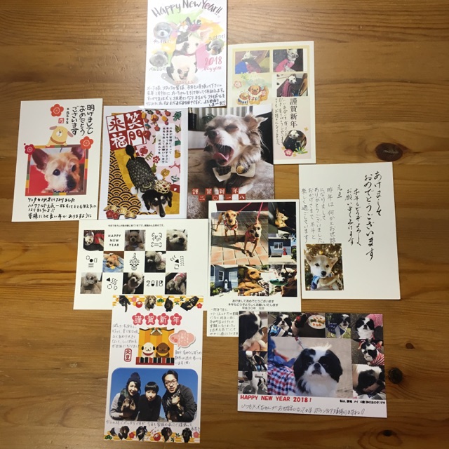 たくさんの年賀状をありがとう😄支援物資もありがとうございます💑